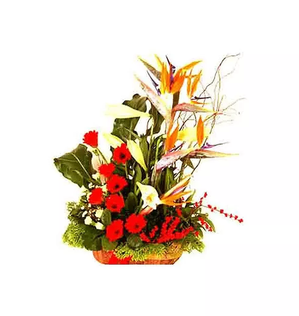 Vibrant Power of Flowers Bouquet