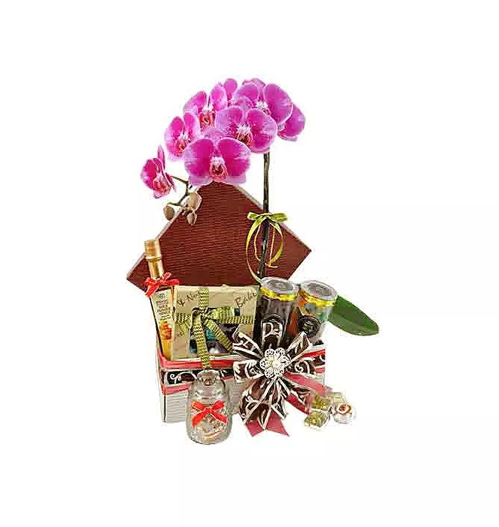 Breathtaking Orchids Display Gourmet Basket