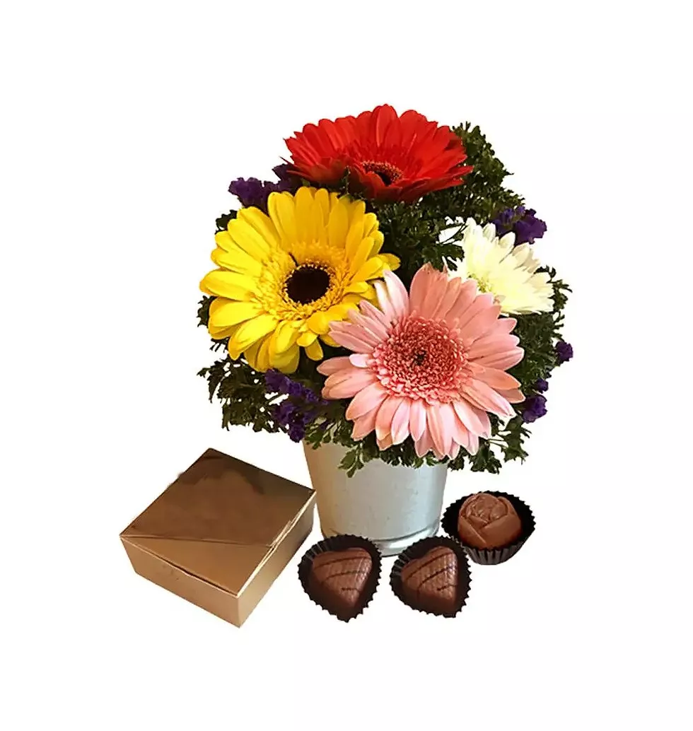Rare Chocolates and Stunning Gerberas