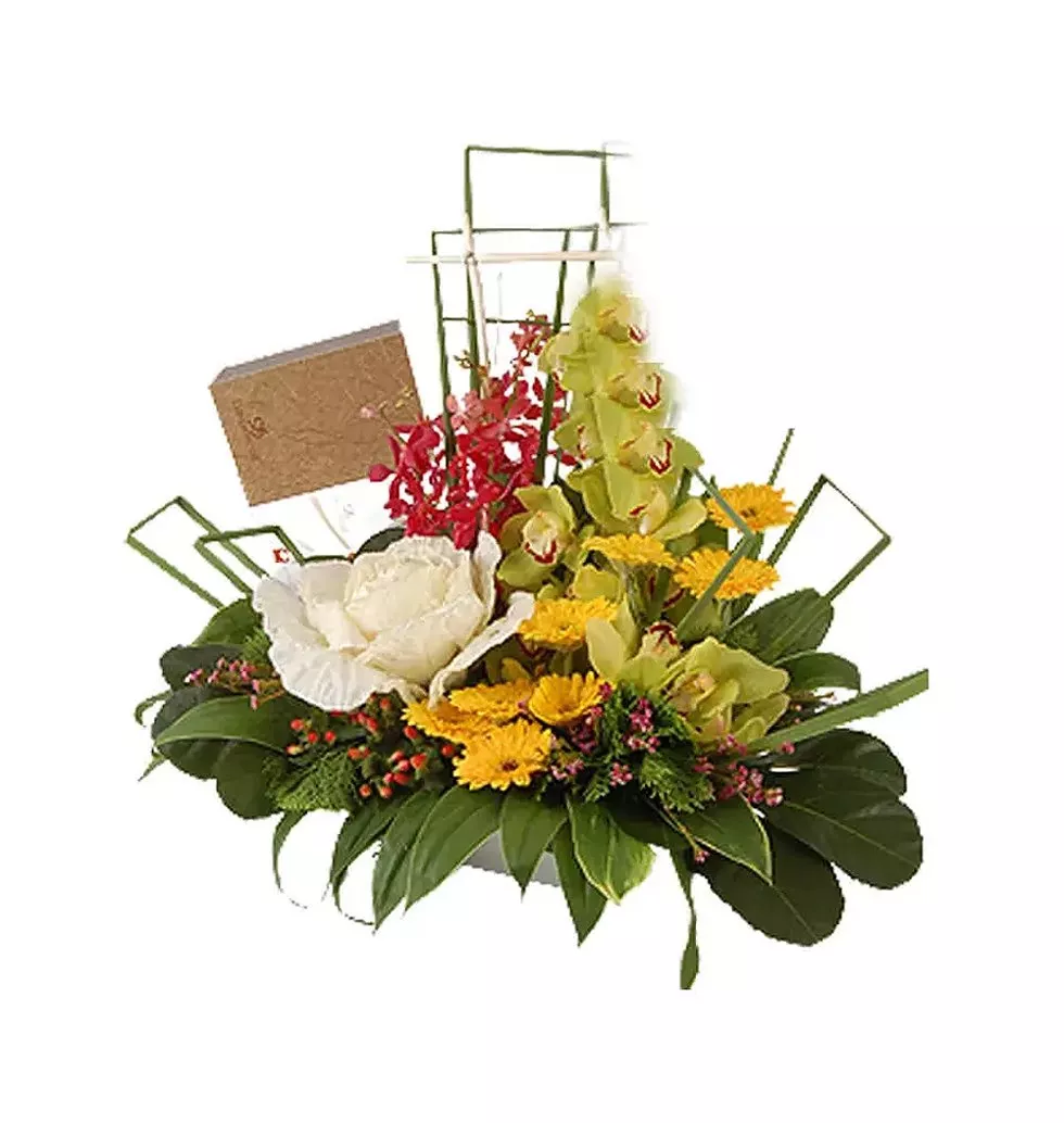 Cymbidium Flower and Chocolates