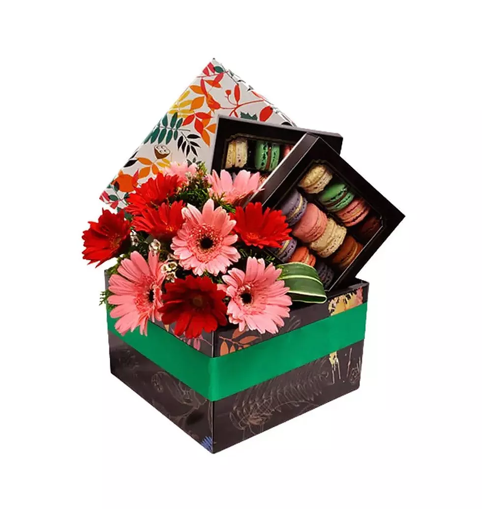 French macarons decorated with Gerberas
