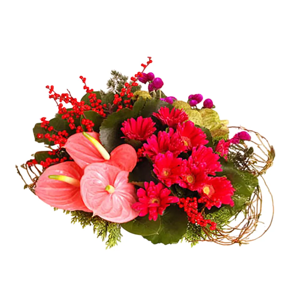 Premium Gerbera & Anthurium Flower Hamper